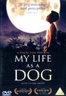 狗脸的岁月 DVD封套(英国) #02