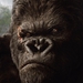 金刚/King Kong(2005)