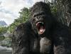 金刚/King Kong(2005) 电影图片 剧照 #27 省略图