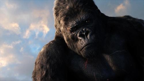 金刚King Kong(2005)剧照 #28
