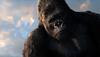 金刚/King Kong(2005) 电影图片 剧照 #28 省略图