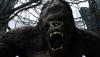 金刚/King Kong(2005) 电影图片 剧照 #29 省略图