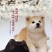 海报(韩国) #02 省略图
