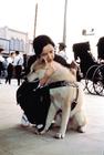 忠犬八公物语 剧照 #13