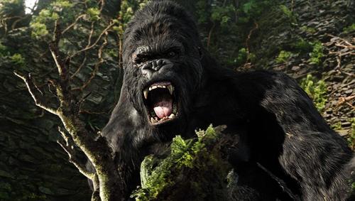 金刚King Kong(2005)剧照 #47