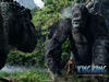 金刚/King Kong(2005) 电影图片 桌面 #23A 省略图