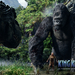 金刚/King Kong(2005)