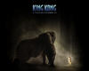 金刚/King Kong(2005) 电影图片 桌面 #18B 省略图