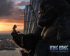 金刚/King Kong(2005) 电影图片 桌面 #19B 省略图