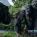 金刚/King Kong(2005)