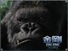金刚/King Kong(2005) 电影图片 桌面(台湾) #01A 省略图