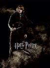 哈利·波特与火焰杯/Harry Potter and the Goblet of Fire(2005)