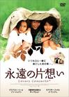 恋爱小说 DVD封套(日本)