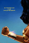 神力女超人/Wonder Woman