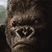 金刚/King Kong(2005)