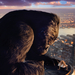 金刚/King Kong(2005)