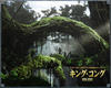 金刚/King Kong(2005) 电影图片 桌面(日本) #04B 省略图