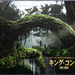 金刚/King Kong(2005)