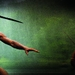 茅尾End of the Spear(2006)