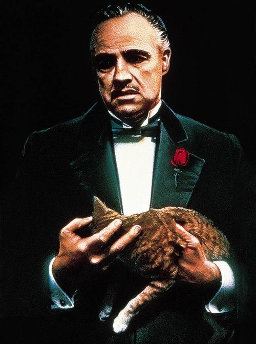 教父/The Godfather(1972) 电影图片 剧照 #11 大图 900X1208