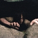 美版午夜凶铃2The Ring Two(2005)