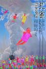 孔雀 海报 #02