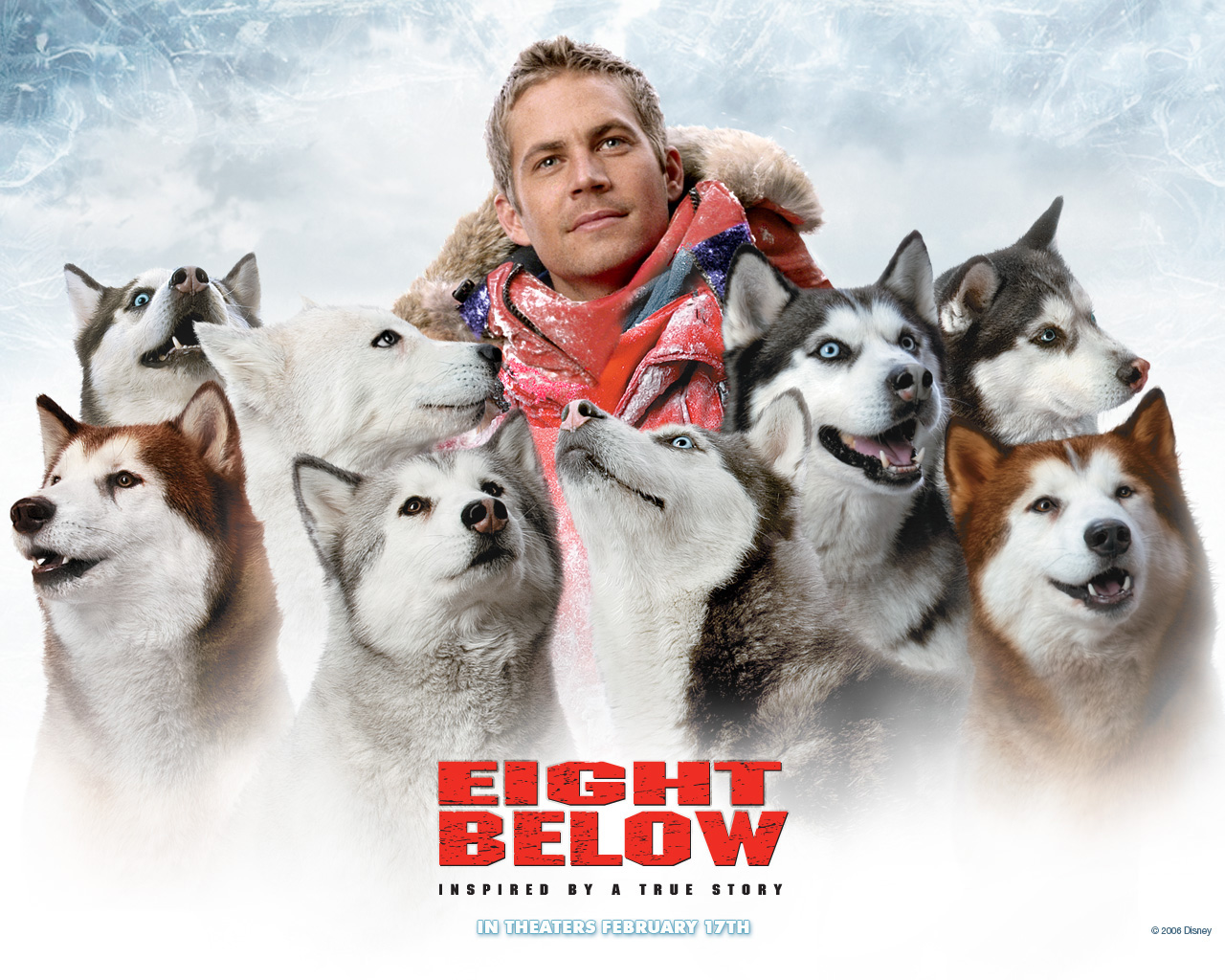 南极大冒险Eight Below(2006)桌面 #01B