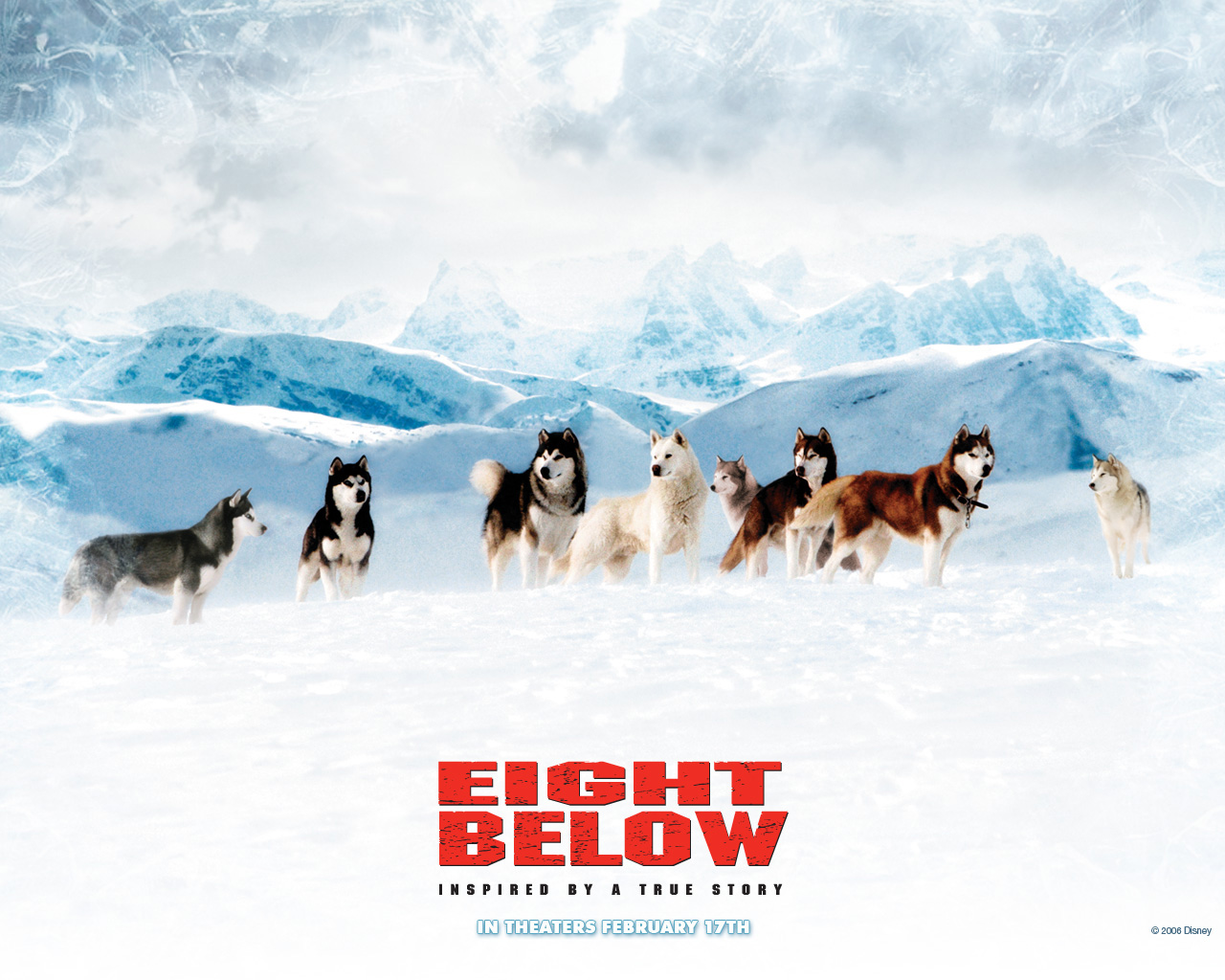 南极大冒险Eight Below(2006)桌面 #02B