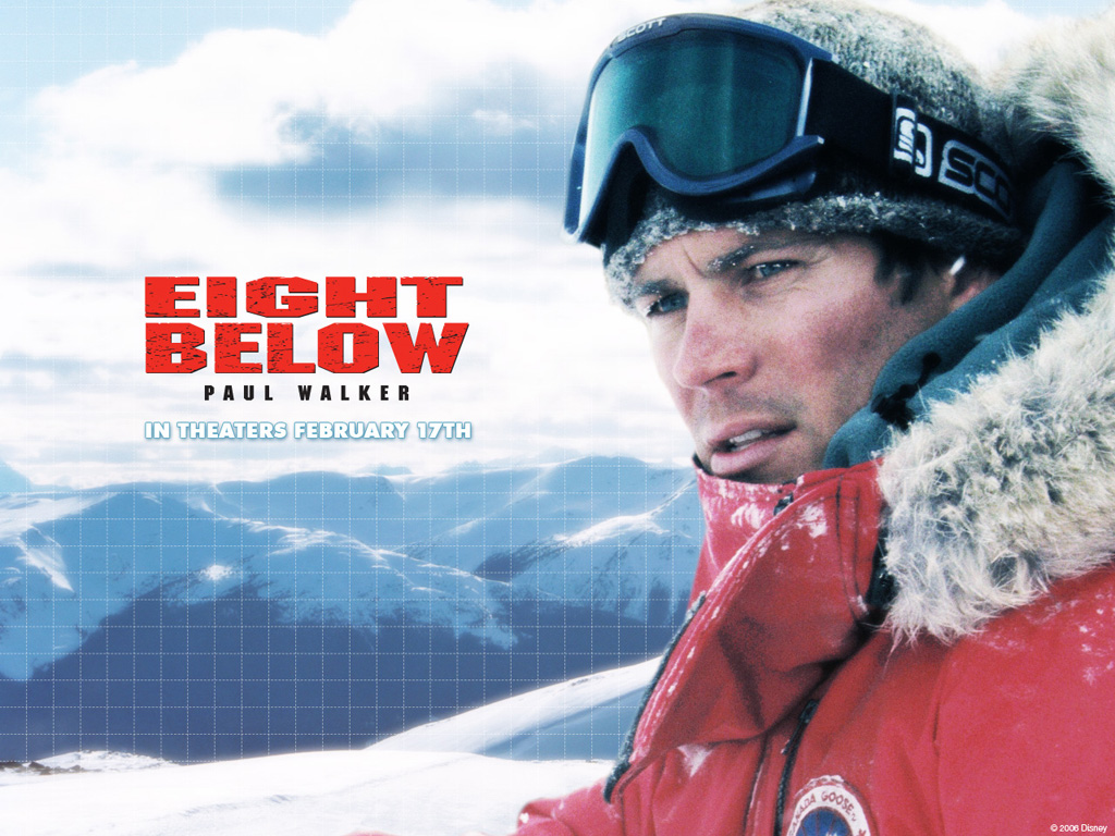 南极大冒险Eight Below(2006)桌面 #03A