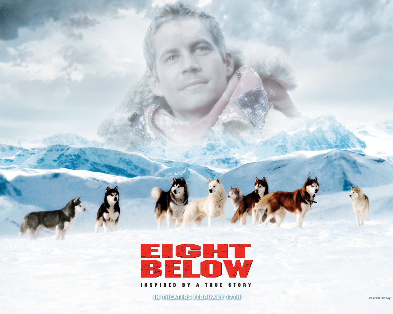 南极大冒险Eight Below(2006)桌面 #04B