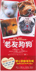 狗狗心事 海报(香港)