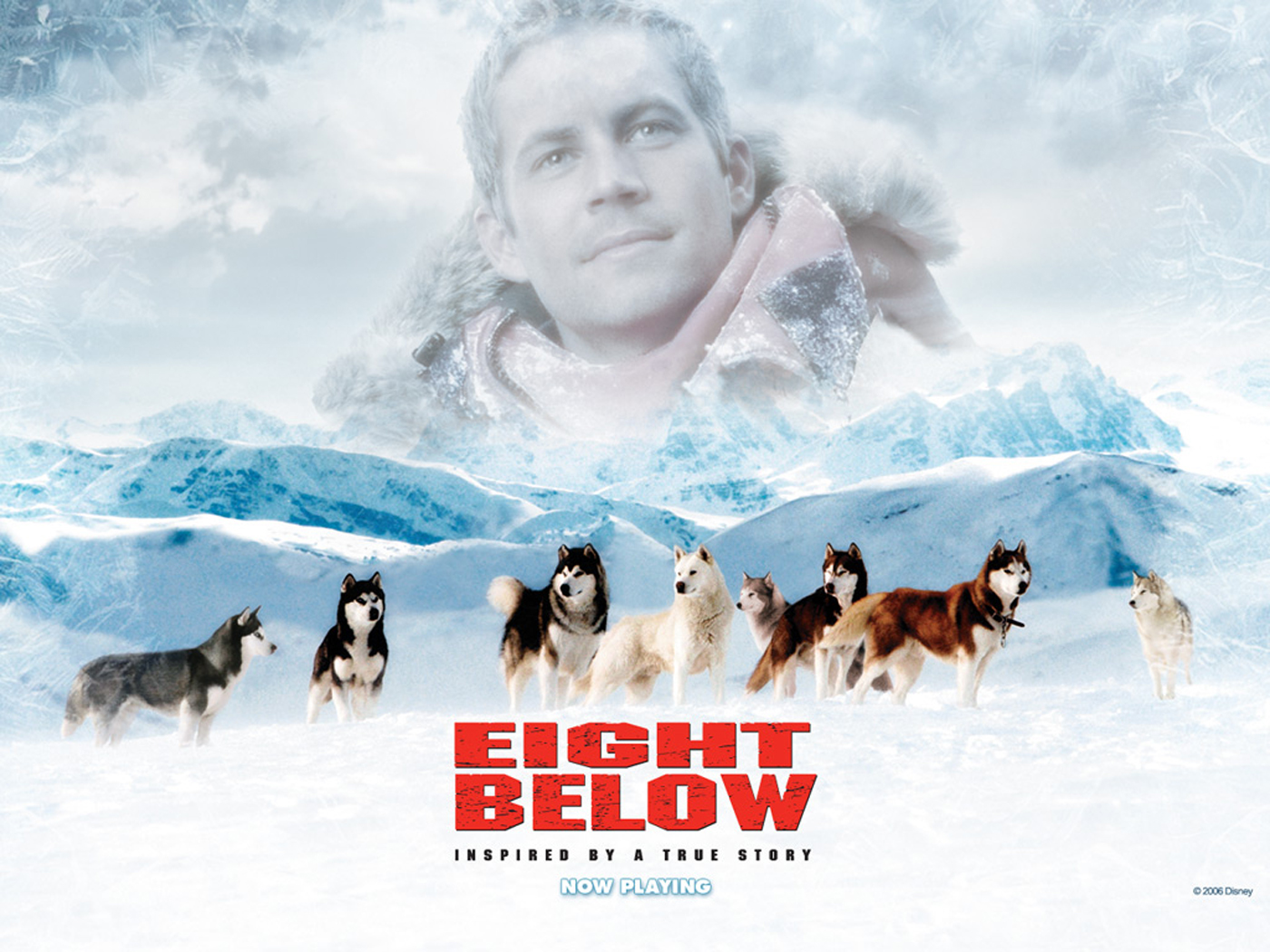 南极大冒险Eight Below(2006)桌面 #04C