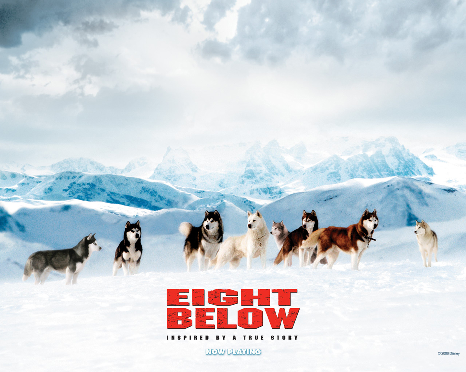 南极大冒险Eight Below(2006)桌面 #02D