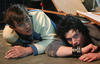 死神来了3/Final Destination 3