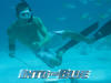 碧海追踪/Into the Blue(2005) 电影图片 桌面 #29 省略图