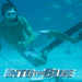 碧海追踪/Into the Blue(2005)