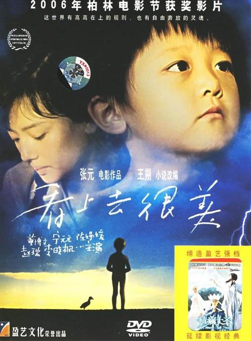 看上去很美