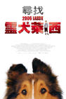 灵犬莱西 海报(台湾)