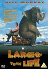 Larger Than Life DVD封套(英国)