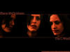 拉字至上/The L Word(2004) 图片 桌面 #26 省略图