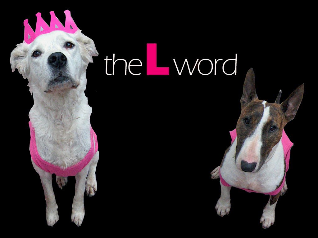 拉字至上The L Word(2004)桌面 #46
