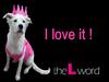 拉字至上/The L Word(2004) 电影图片 桌面 #48 省略图