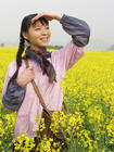 芳香之旅 剧照 #11