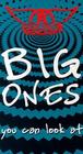 Aerosmith: Big Ones You Can Look at