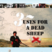 一只死羊的37种用法37 Uses for a Dead Sheep(2006)