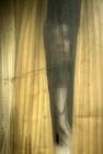 美国版《咒怨2》/The Grudge 2