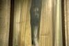 美国版《咒怨2》/The Grudge 2