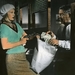 雌雄大盗Bonnie and Clyde(1967)