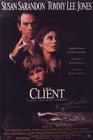终极证人/The Client