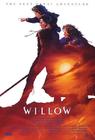 威洛/Willow